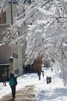 Photo of students walking down a partially snow-covered sidewalk that is lined on one side by a row of snow-covered trees.