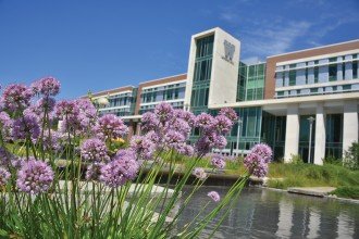 WMU's Sangren Hall with purple flowers in front.