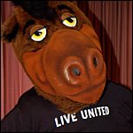 Photo of Buster Bronco and United Way T-shirt.