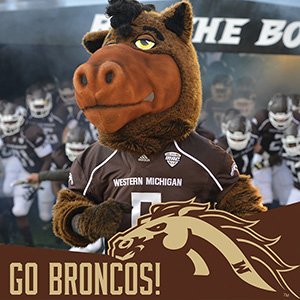 Photo of Buster Bronco with the WMU Facebook team frame.