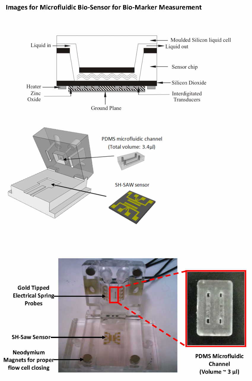 Figure 1, images of microfluidic bio-sensor for bio-marker measurement